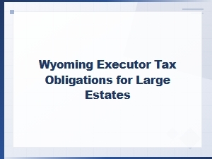 Wyoming Executor Tax Obligations for Large Estates